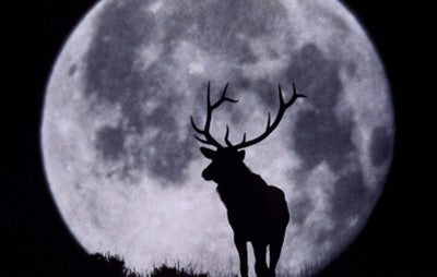 Buck Moon