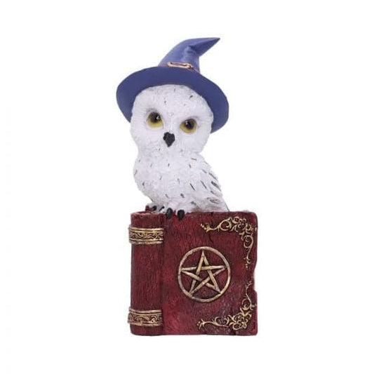 Avian Spell Witch Owl On Spell Book
