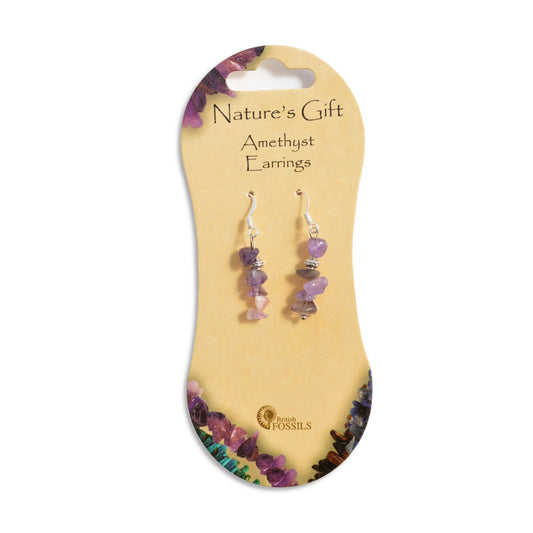 Natures Gifts Earrings Amethyst